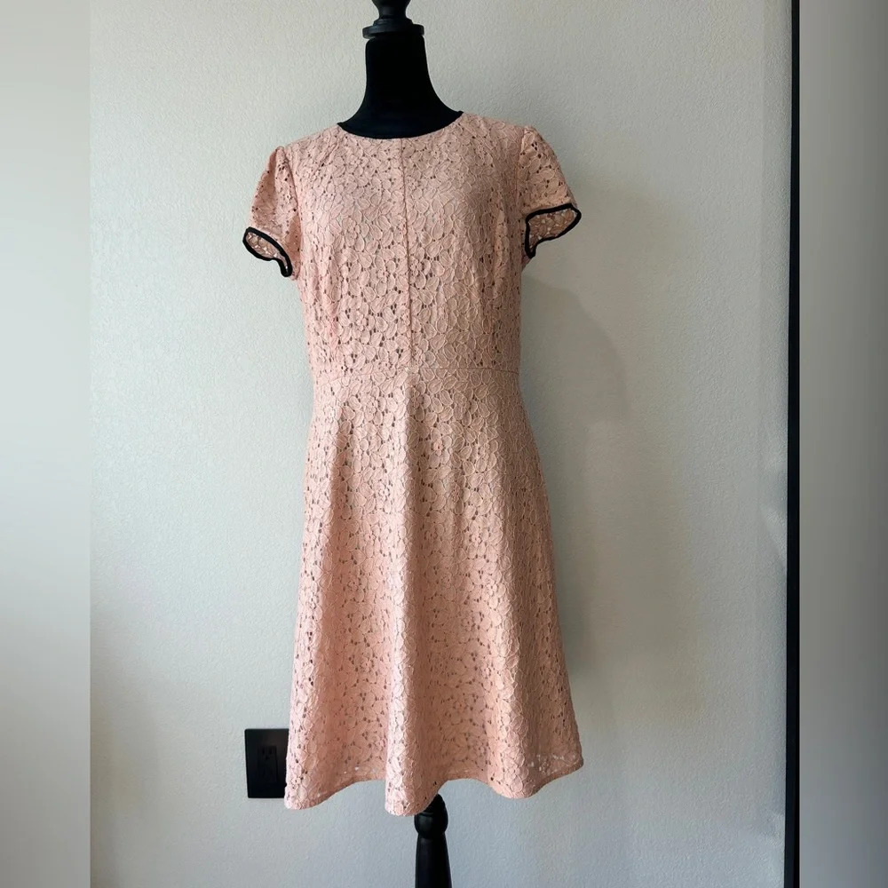 Loft Feminine Soft Pink Floral A-line Dress Size 8